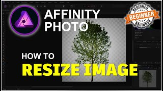 Affinity Photo How To Resize Image Tutorial [upl. by Niai]