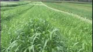 Organic High Residue ReducedTill Intro Weed Em and Reap [upl. by Maure]