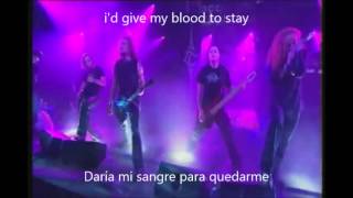 dark tranquillity haven sub español live [upl. by Hairas498]