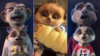 Funny Meerkat Pups Oleg and Ayana Compare The Market Commercials [upl. by Aramal]