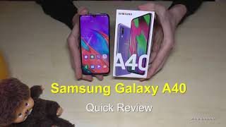 Samsung Galaxy A40 Quick Review with specs and some features [upl. by Yenroc]