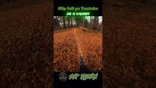 Toamna pe traseu  bikevlog mtb enduromtb poianabrasov bikelife giantbikes mountainbike [upl. by Abdella55]