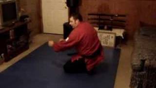 14BASIC NINJUTSU ROLLING IN ALL DIRECTIONS [upl. by Tersina]