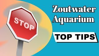 ZOUTWATER AQUARIUM tipsamptricks en aandachtspunten  Aquarium Sunshine Valley [upl. by Anen]