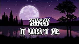 It Wasnt Me Shaggy Lyrics Video [upl. by Antrim]