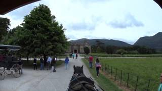 Visit Irelands Killarney Muckross House Estate in a Horse Drawn Carriage [upl. by Flita]