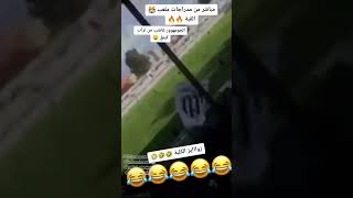 جمهور القبة 🇳🇬 يسب في طراب كينغ 🦍زوايز الكلبة 🤬🤣 [upl. by Landahl485]