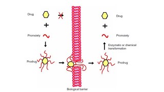 Prodrug42 [upl. by Quintin]