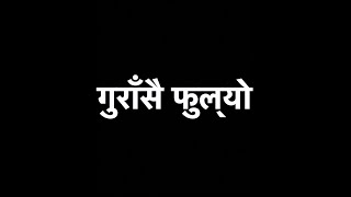 KARAOKE  Gurasai Fulyo  गुराँसै फुल्यो वनैमा  1974 AD  with Lyrics [upl. by Sacha989]