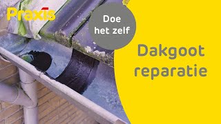 Dakgoot reparatie  Zo repareer je een dakgoot  Praxis [upl. by Elleirda]