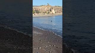 Playa de San Juan Tenerife ☀️🌴 1802 24102024 26°C tenerife sanjuan beach sunny spain tnf [upl. by Hoffer]