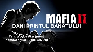 DANI PRINTUL BANATULUI  MAFIOTII  Audio [upl. by Atyekram432]