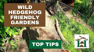 Top Tips Wild Hedgehog Friendly Gardens  Hornbeam Wood Hedgehog Sanctuary [upl. by Huberty97]