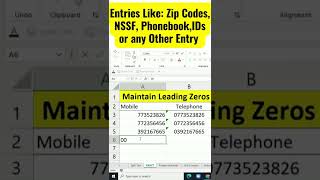 Maintain Leading Zeros in Excel [upl. by Prior]