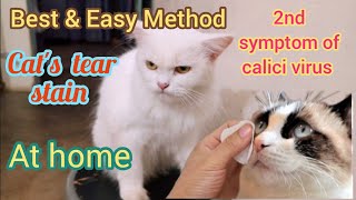 How to clean cats eyes  Home remedies for cat tear stain cleaning  KITTYcat Vlogs [upl. by Nimaj588]