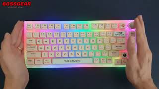 This Is Plastic Keycap Set XDA Profile PBT Dye Sub [upl. by Zehcnas224]