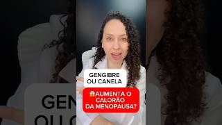 😱 SERÁ QUE AUMENTA OS FOGACHOS DA MENOPAUSA [upl. by Eniledgam683]