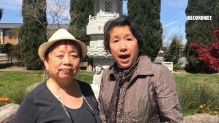 VIDEO Chinese Benevolent Association will celebrate Ching Ming at noon Sunday at the Stockton Chine [upl. by Grube]