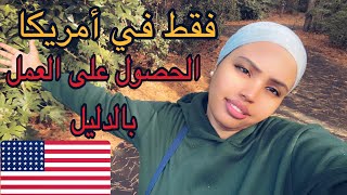 المهن الأعلى طلبا في أمريكا خدمة موجودة في أمريكا 🇺🇸 غير لي مبغاش يخدم [upl. by Wonacott]