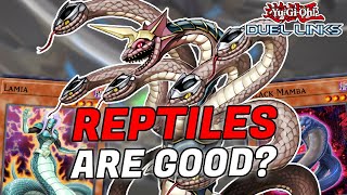 ARE REPTILES SECRETLY STRONG OGDOADIC REPTILIANNE REPTILE REPLAYS duel links [upl. by Ortiz]