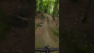 Step up at local woods mtb mtbpictureoftheday downhill [upl. by Jarlath]