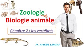 Biologie animale  zoologie chapitre  les vertébrés [upl. by Ahsilram178]