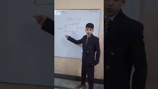 Revision tasks board presentation done by shahzain khan Grade 6 Tulip [upl. by Dermott]