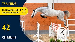 Verden Auction Online  Sporthorses  November 18  No 42 CSI Miami by Chacoon Blue  Landsieger I [upl. by Nulubez]