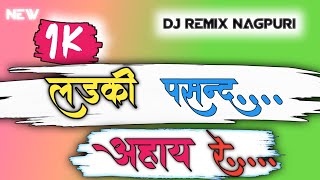 Nagpuri DJ Remix  Best DJ Nagpuri Songs 2024 [upl. by Kenyon520]