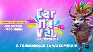 RIO TINTOPB CARNAVAL TRADIÃ‡ÃƒO  BOI DE REIS  URSO MIRIM DIA 01 [upl. by Halas]