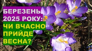 Березень 2025 року чи вчасно прийде весна і буде тепло [upl. by Arres]