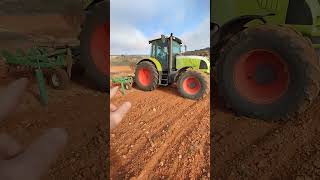 🚜🚜🌾Claas Ares 6375  Labrando Plantón Olivo plantas agricultura claas olivo [upl. by Eidderf]