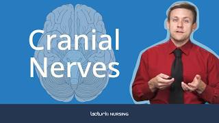 Cranial Nerves 🧠  Neuroanatomy [upl. by Rosmarin902]