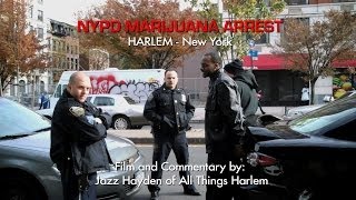 NYPD Marijuana Arrest Harlem  New York City  War on Drugs [upl. by Yssim]