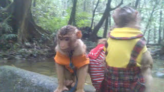 bring jkshaki and baby to waterfall [upl. by Nahtanaj]