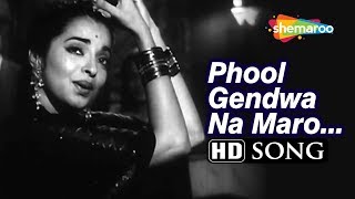 Phool Gendwa Na Maro  Funtoosh 1956 Dev Anand  Sheila Ramani  Asha Bhosle  Romantic Song [upl. by Jemina]