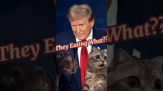 Theyre Eating Debate Remix debate eatthecat eating eatingthe trump debate2024 [upl. by Erdnaed]