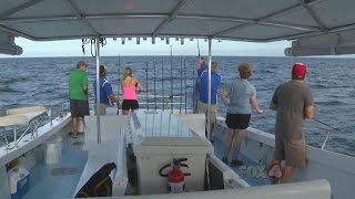 SEGMENT THREE Grouper Fishing Beach Of The Week  Lowdermilk [upl. by Faxen]