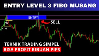 STRATEGI ENTRY LEVEL 3 FIBO MUSANG  FOREX TRADING [upl. by Fablan]