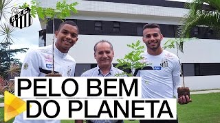 Atletas plantam mudas de paubrasil no CT Rei Pelé  MUITO ALÉM DO FUTEBOL [upl. by Willow]