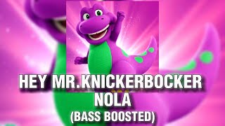 MS BOP HEY MR KNICKERBOCKER Tiktok Nola Bounce remix [upl. by Esalb]