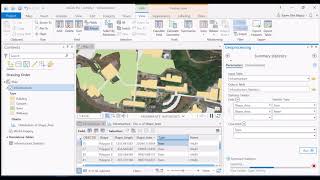 Summarizing Attribute Tables in ArcGIS Pro [upl. by Wind]