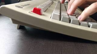 ASMR Mechanical Keyboard Typing  Studying on a Silicon Graphics Big Foot [upl. by Bamby]