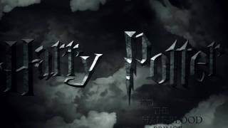 Harry Potter Opening  After Effects [upl. by Sewoll]