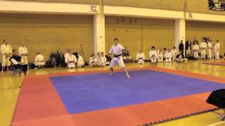 BSKF Taikai 2013  Single form with the shakujo wooden staff [upl. by Gnut]