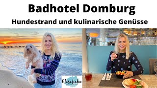 Badhotel Domburg mit Hund und der Strand in Zeeland [upl. by Ehtyaf]