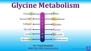 15 Glycine Metabolism  Amino Acid Metabolism Biochemistry  NJOY Biochemistry [upl. by Sset150]