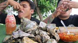 FRESH TALABA  UNI SEA URCHIN MUKBANG  FRESH OYSTER MUKBANG HD [upl. by Siravart]