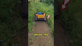 this man finds best Grass Trimmers machine shortsviral satisfying cars [upl. by Kimball]