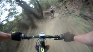 Nino  MTB quotCanyonquot mit Baldi und Sparkey in Massa Vecchia  Massa Marittima Toscana [upl. by Chapa]